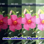 Apa Itu ISO Dalam Fotografi, Pemula Wajib Tahu ISO | Sukabumi