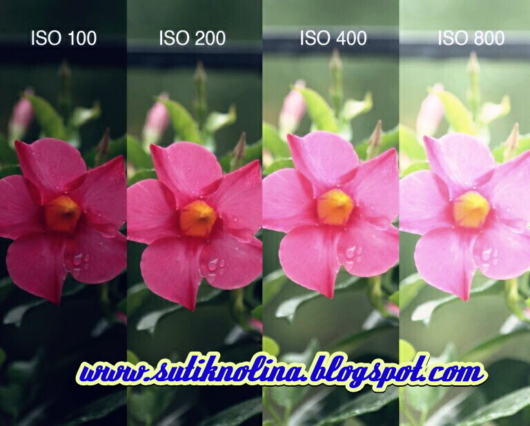 Apa Itu ISO Dalam Fotografi, Pemula Wajib Tahu ISO | Sukabumi